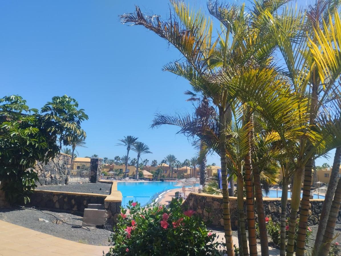 Casa Mona Apartment Corralejo Bagian luar foto