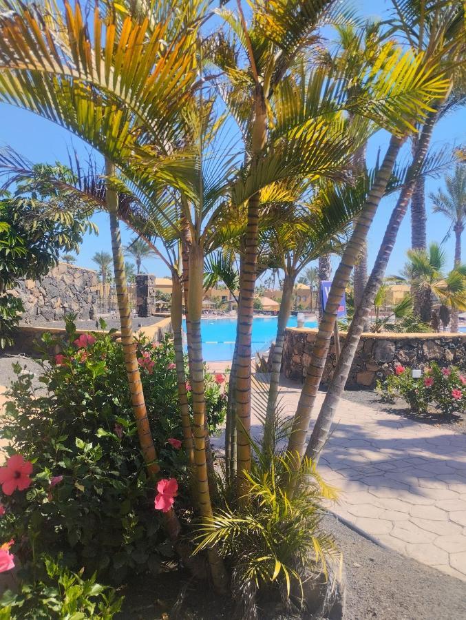 Casa Mona Apartment Corralejo Bagian luar foto